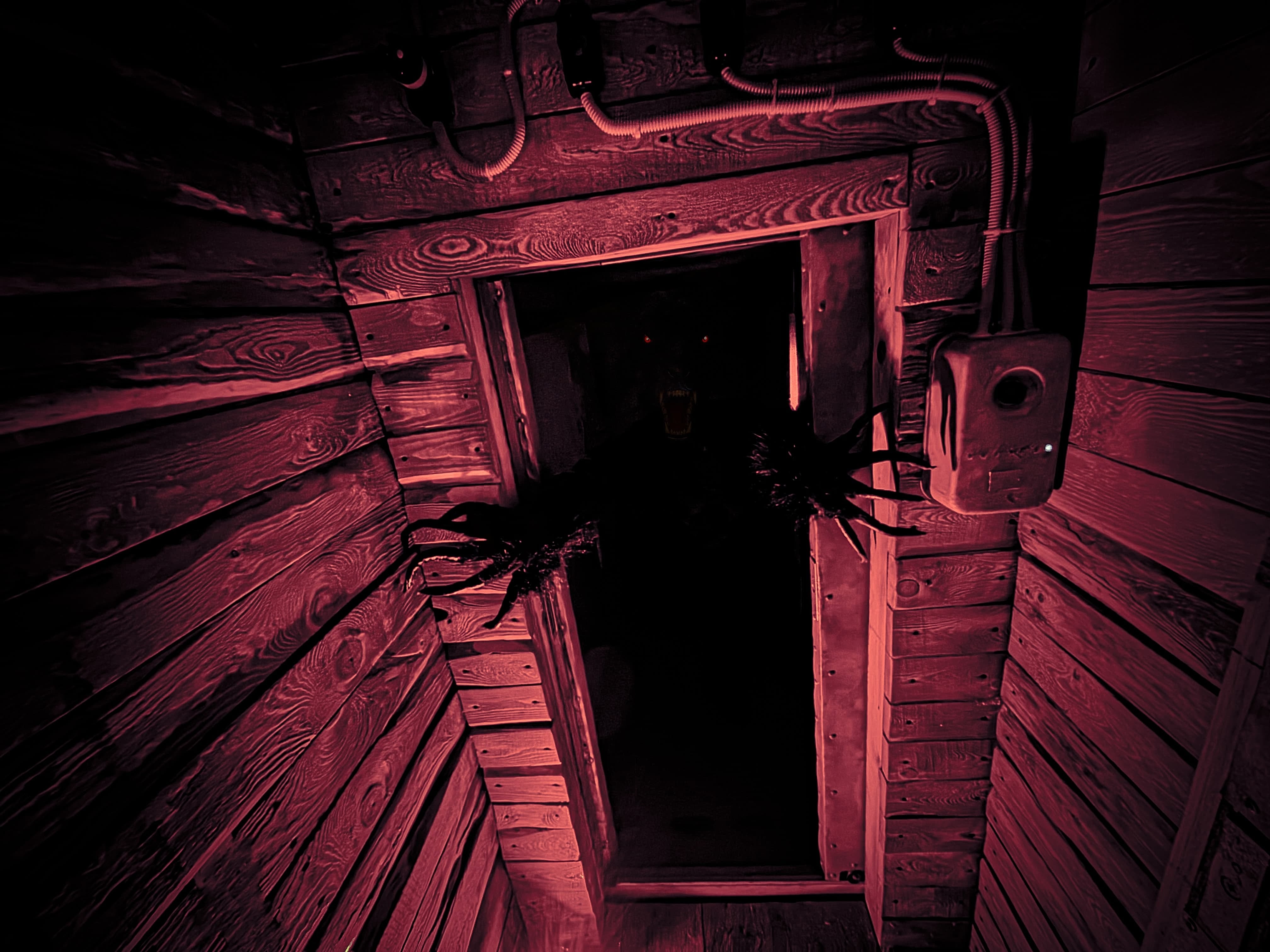 фото №6 квеста Потерявшие свет